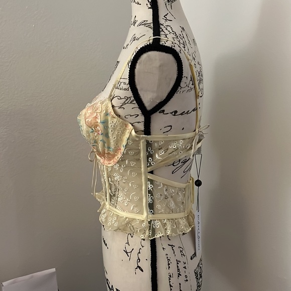 Vintage Eyelet Rose Thong and Bustier set - Picture 11 of 15